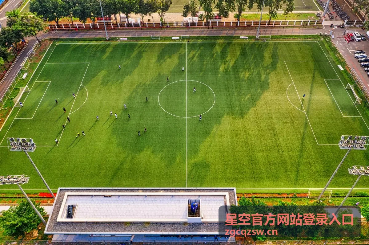 星空官方网站登录入口异地登录校验场景