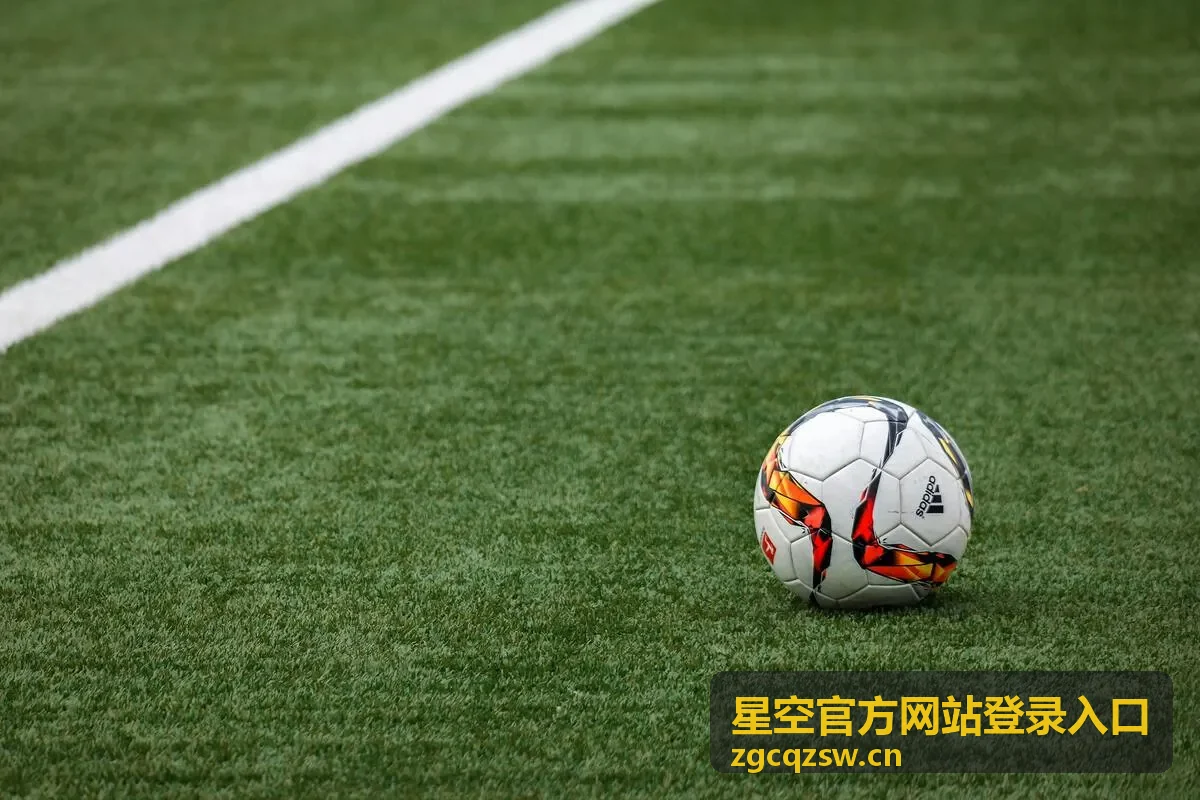 星空官方网站登录入口团队多人账号场景